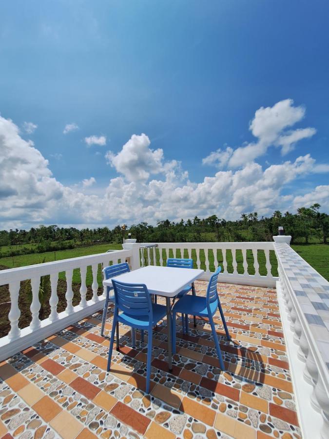 Joe'S Castle Bed & Breakfast Sagbayan Exterior photo